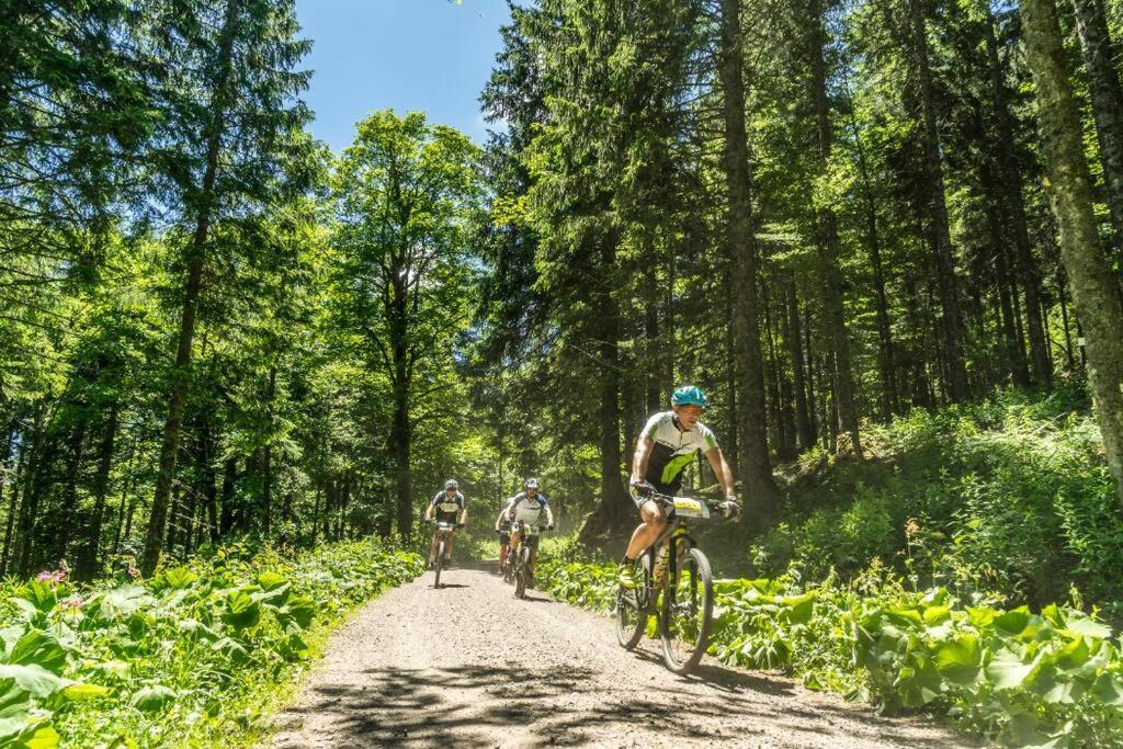 Waldoase Titisee Exterior foto