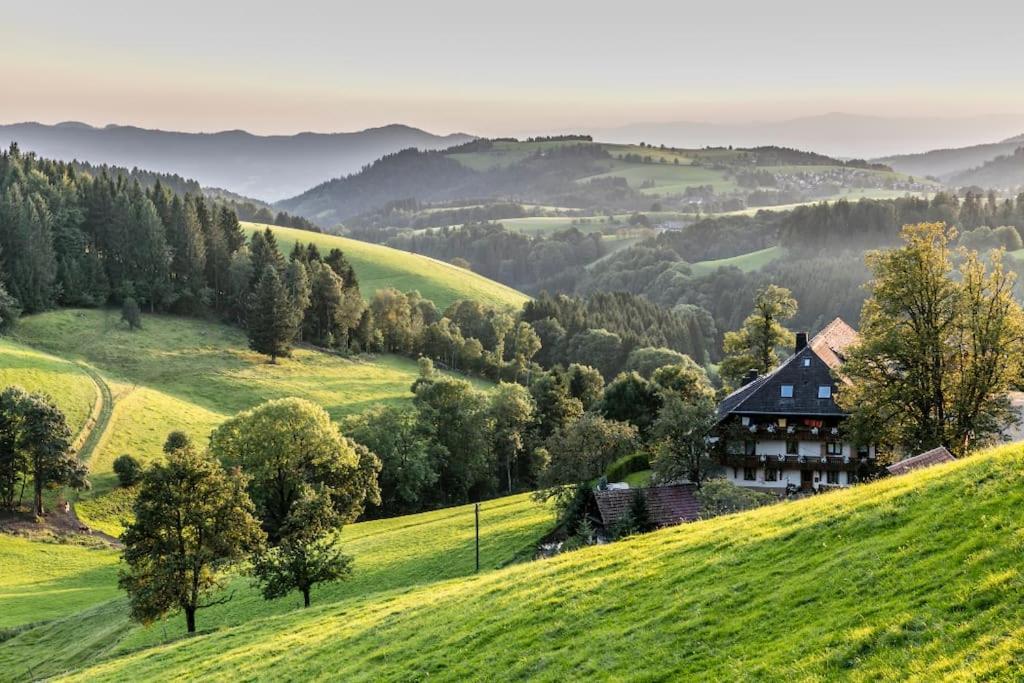 Waldoase Titisee Exterior foto