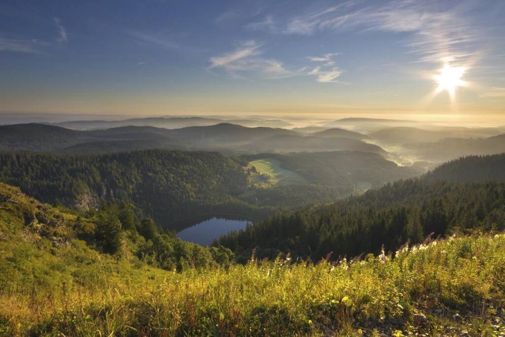 Waldoase Titisee Exterior foto