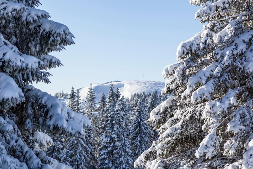 Waldoase Titisee Exterior foto
