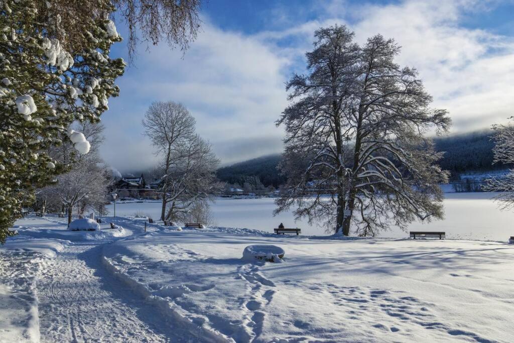 Waldoase Titisee Exterior foto