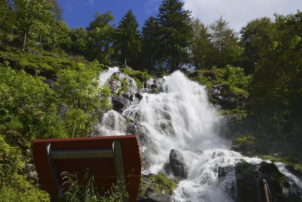 Waldoase Titisee Exterior foto